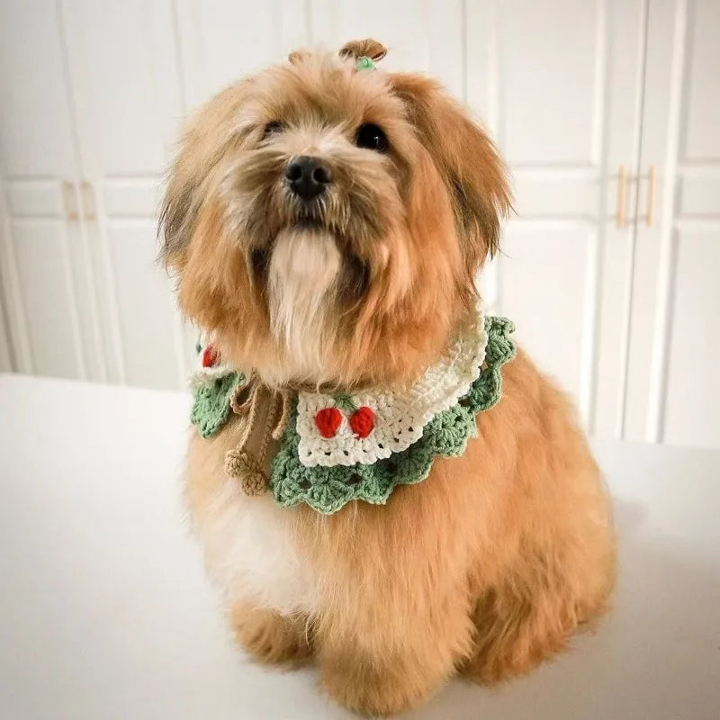 Small Pet Collar Knitted