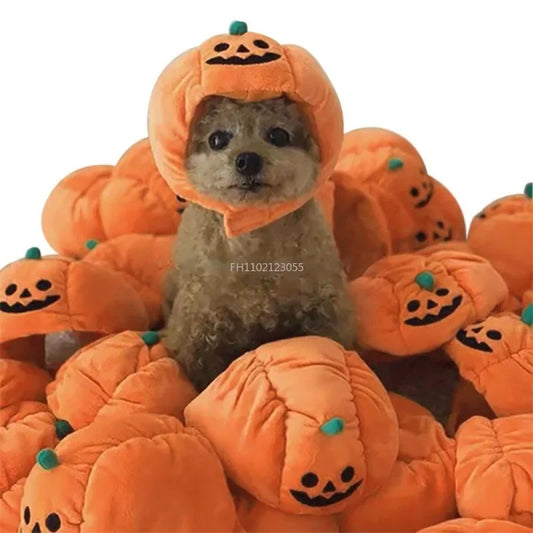 Cute Pet Pumpkin Hat