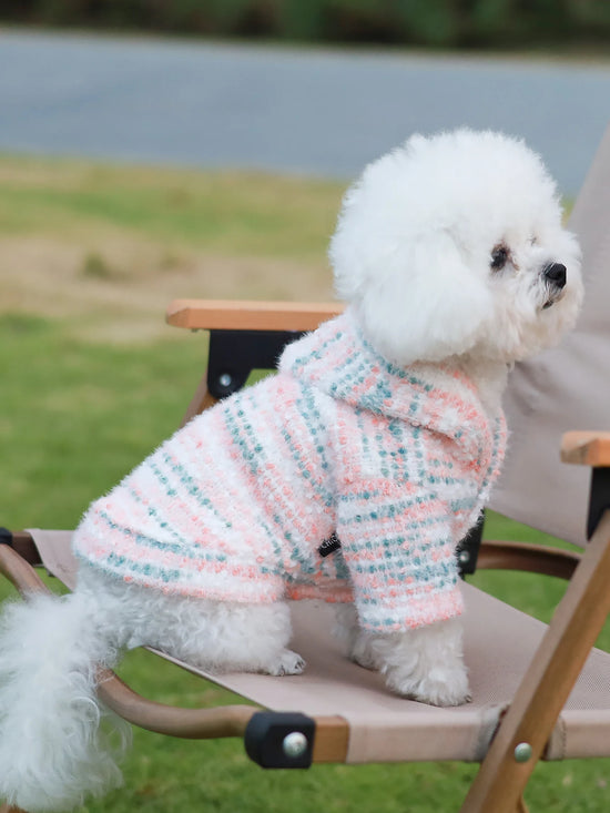 Dog hoodie with hat