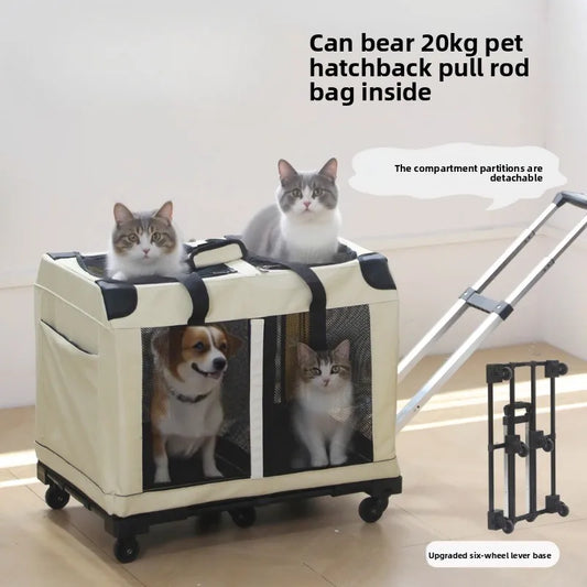 Two Compartments Cat Carrier