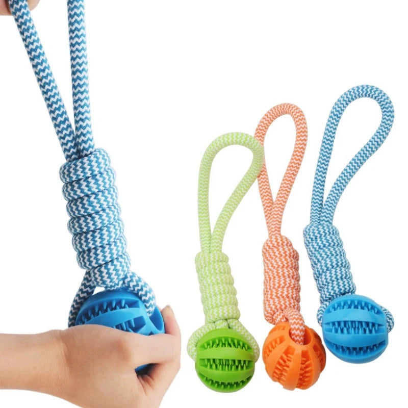 Pet Tooth Cleaning Ball Toy