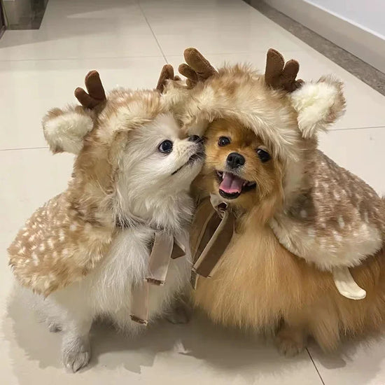 Funny Clothes Pet Dog or Cat Costume