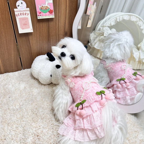 Pet Autumn/Winter Knitted Cherry Dress