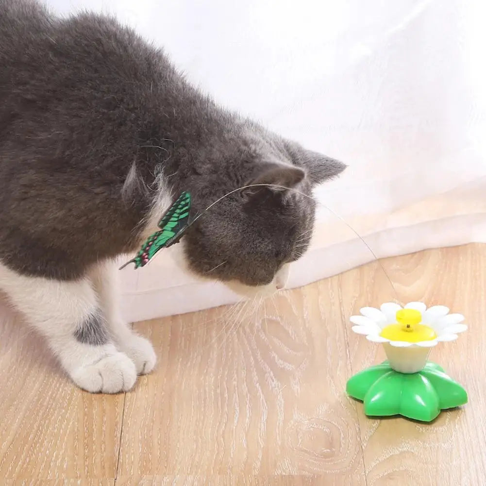 Electric Butterfly or Humming Bird Cat Toy