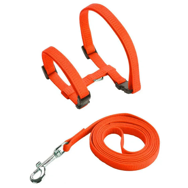 Escape-proof Small Dog Cat Harness Collar