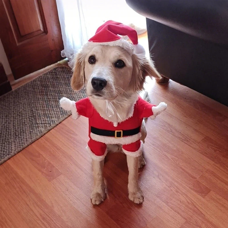 Cute Dog Santa Claus Outfit