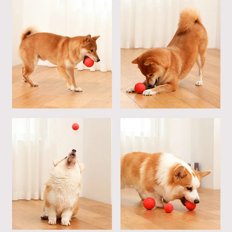 Indestructible Chew Proof Rubber Ball