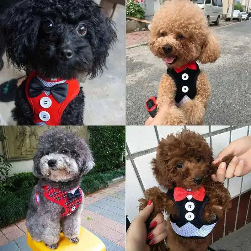 Elegant Bowtie Dog Harness Vest with Leash