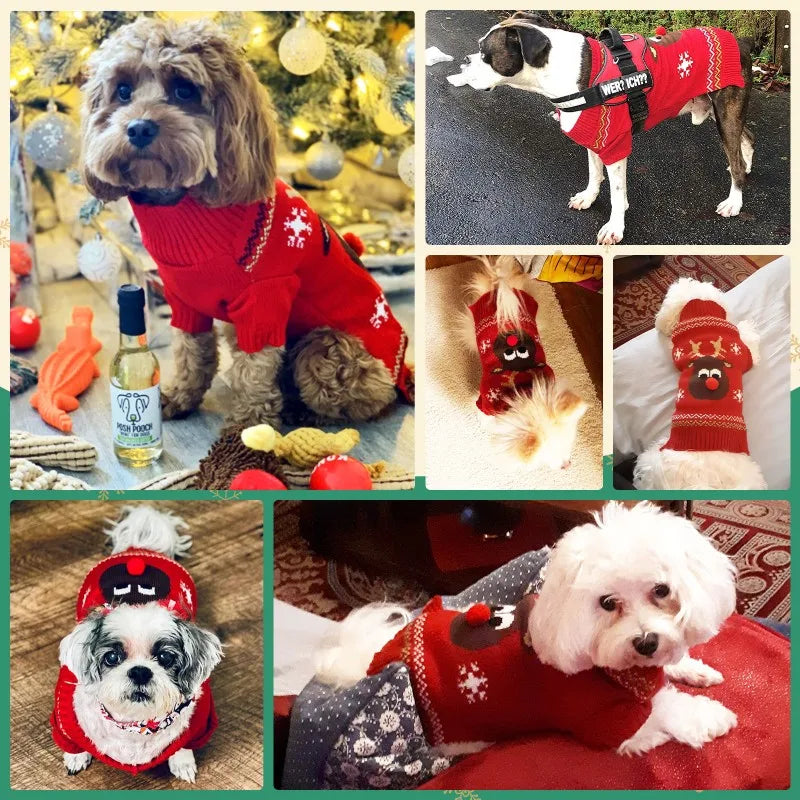 Dog Sweater Christmas