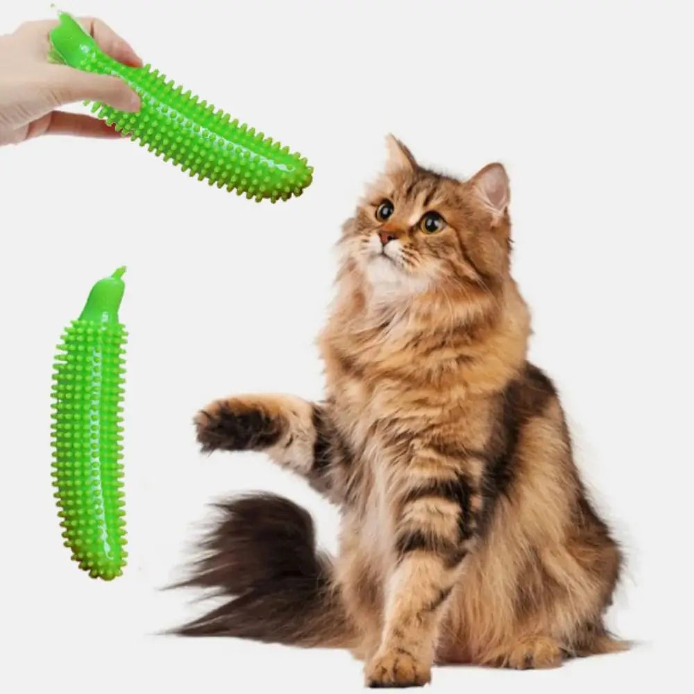 Cucumber Shape Dog Teeth Grinding Stick