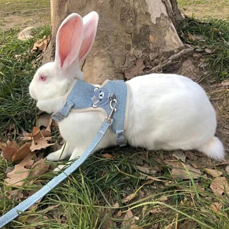 Newest Cute Rabbit Harness and Leash Set