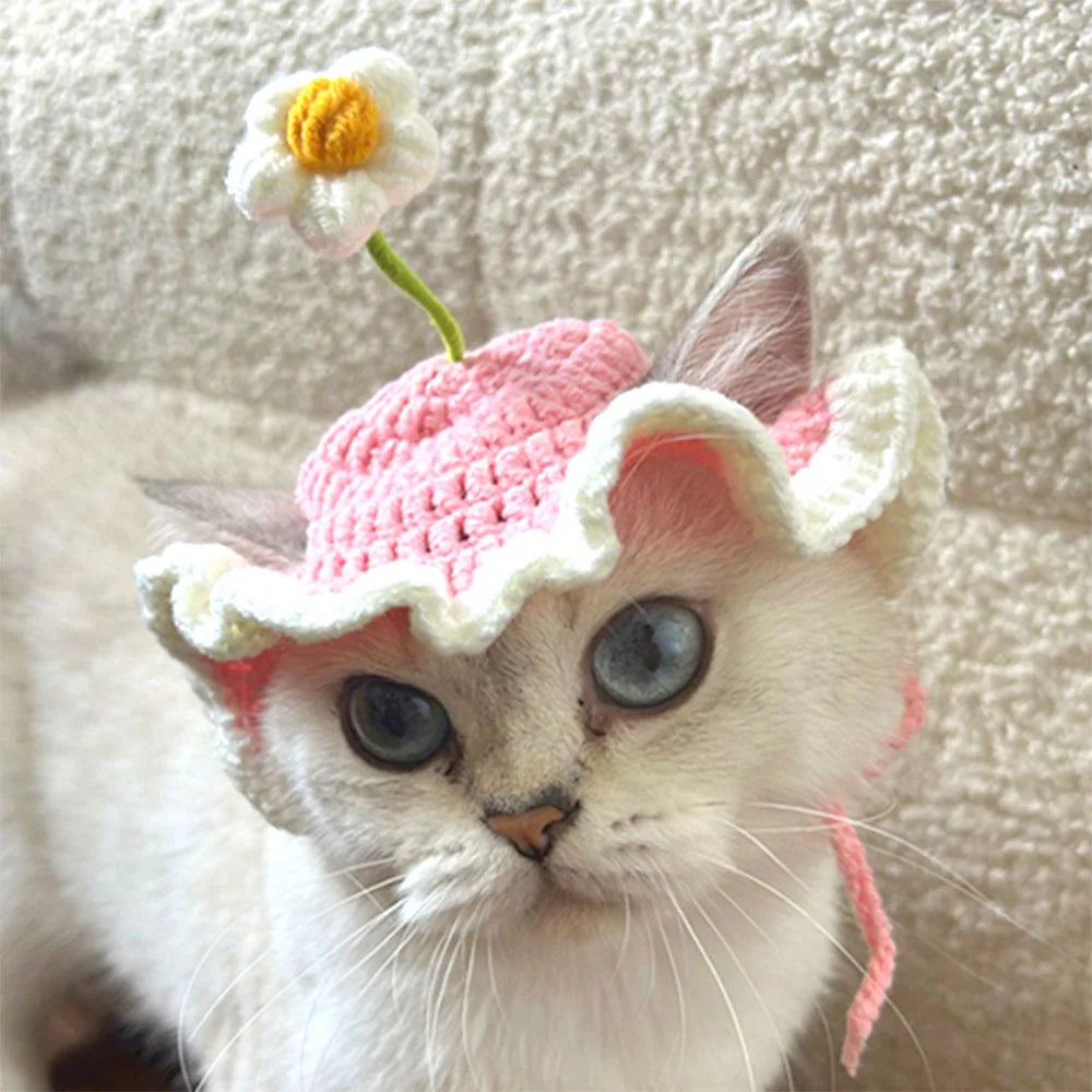 Cute Refined Cat Hat