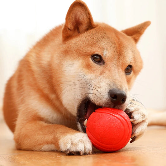 Indestructible Chew Proof Rubber Ball