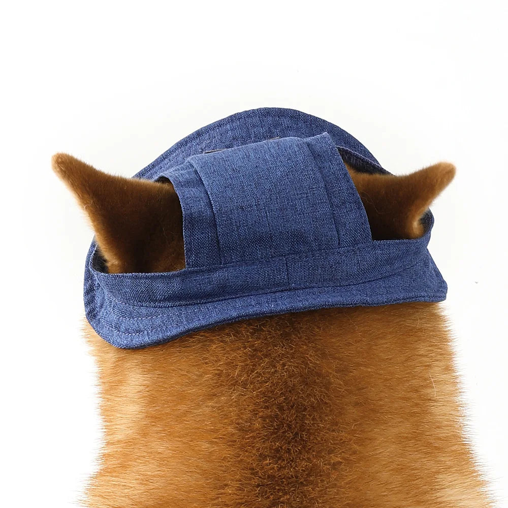Dog Hat with Ear Holes