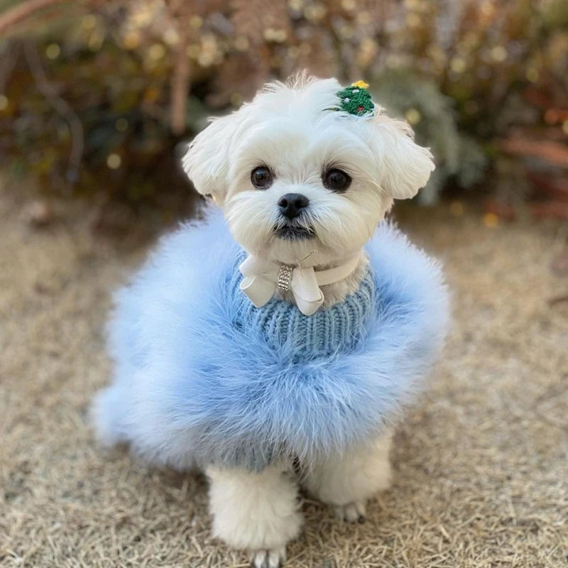 Pet Colorful Sweater