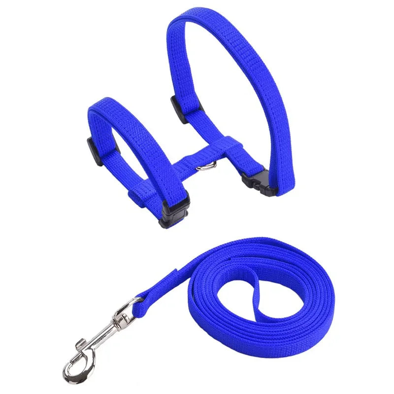 Escape-proof Small Dog Cat Harness Collar