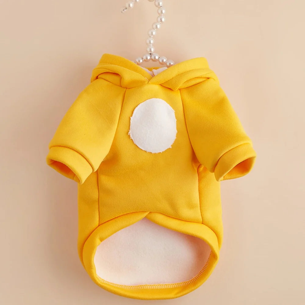 Cute Hairless Cat Clothes
