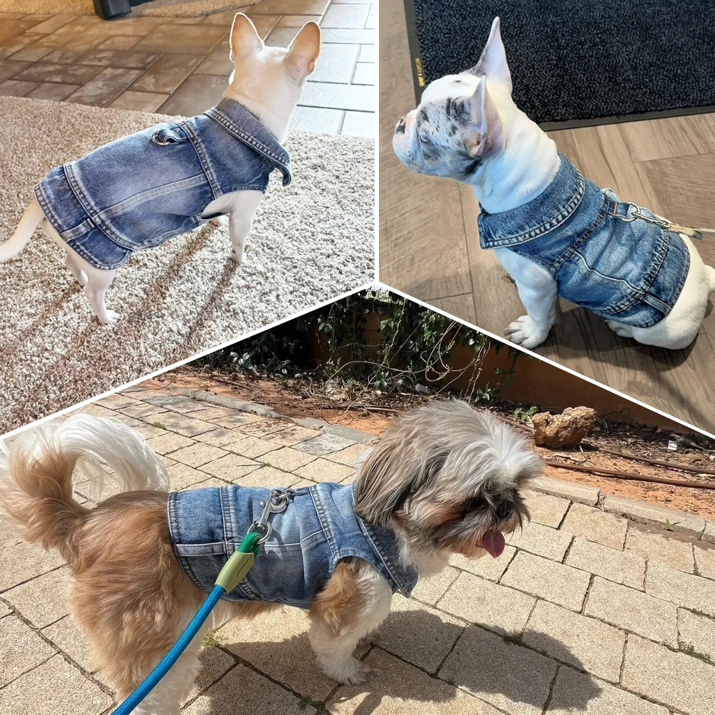 Dog Jeans Jacket