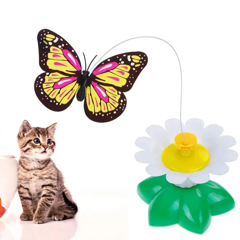 Electric Butterfly or Humming Bird Cat Toy