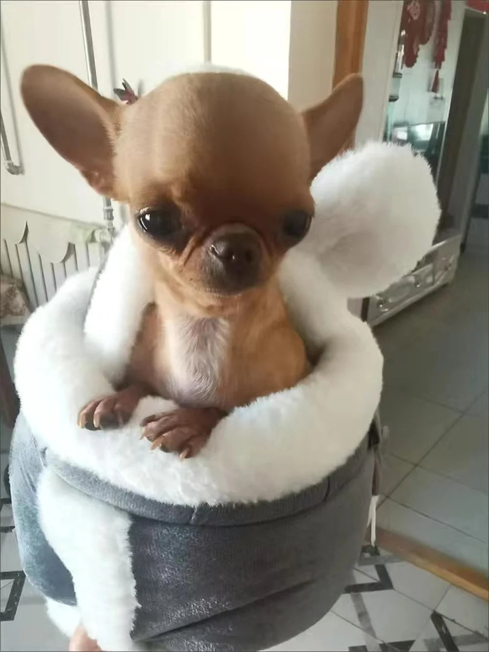 Outdoor Travel Chihuahua Puppy Dog Carrie