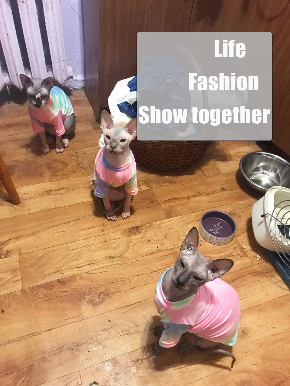 Sphinx Hairless Cat Clothes Deven Breathable T-shirt For Cats Stretch Fabric Clothing For Kitten Pet Shirt Coats For Puppy