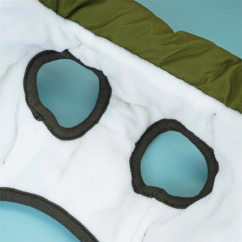 Dog Jacket With Harness