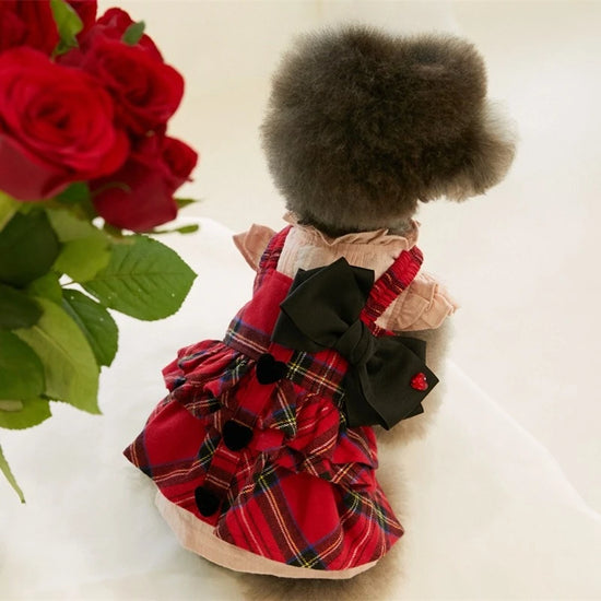 New Pet Checkered Dress