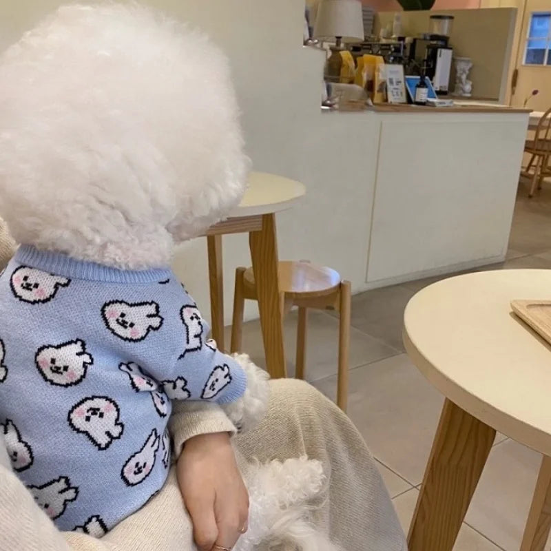 Winter Dog Sweater for Small Dogs