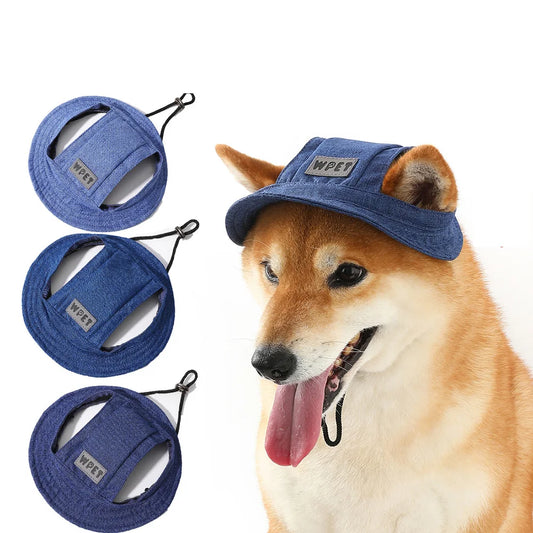 Dog Hat with Ear Holes
