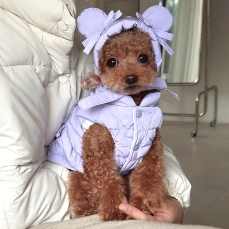 Winter Padded Dog Jacket Coat