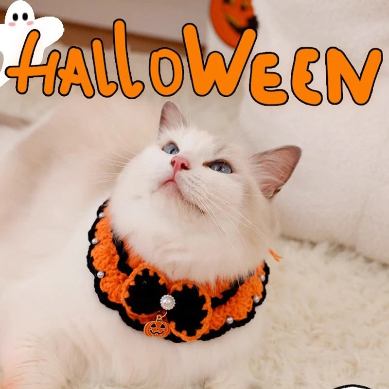 Halloween Cat Costume