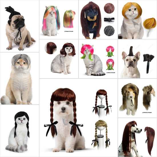 Cute pet cat and dog wigs,