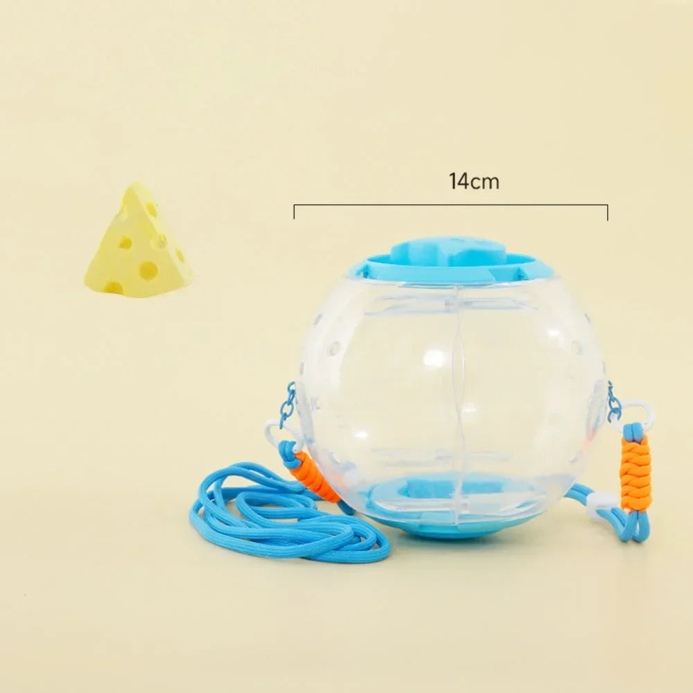 Hamster Outdoor Carrying Ball