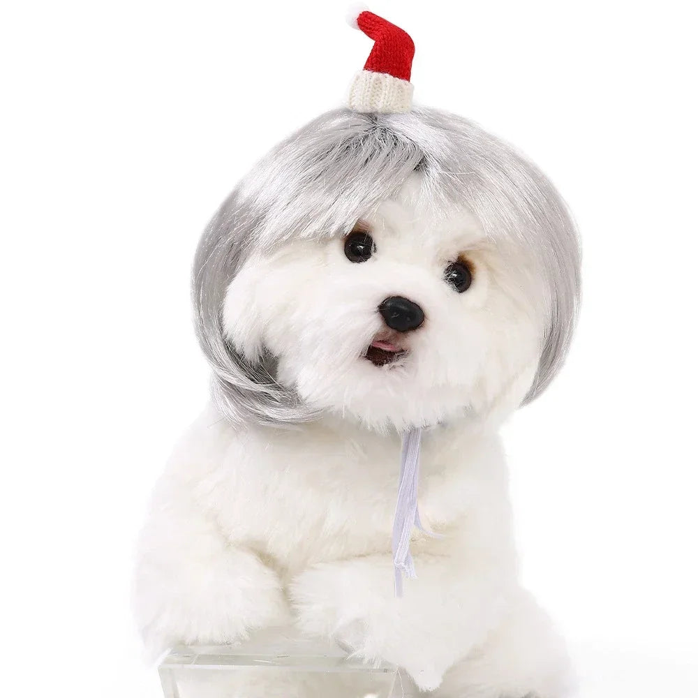 Pet Wig