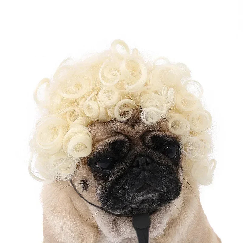 Pet Wig