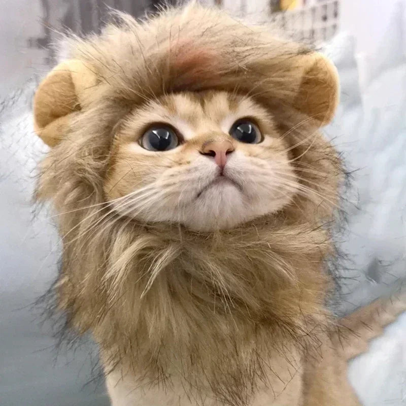 Cat Cosplay Dress Up Pet Hat Lion Mane