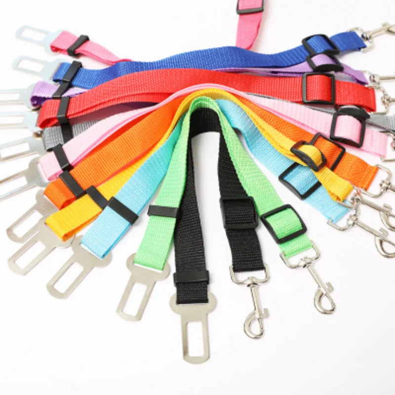 Car Seat Belt Buckle
