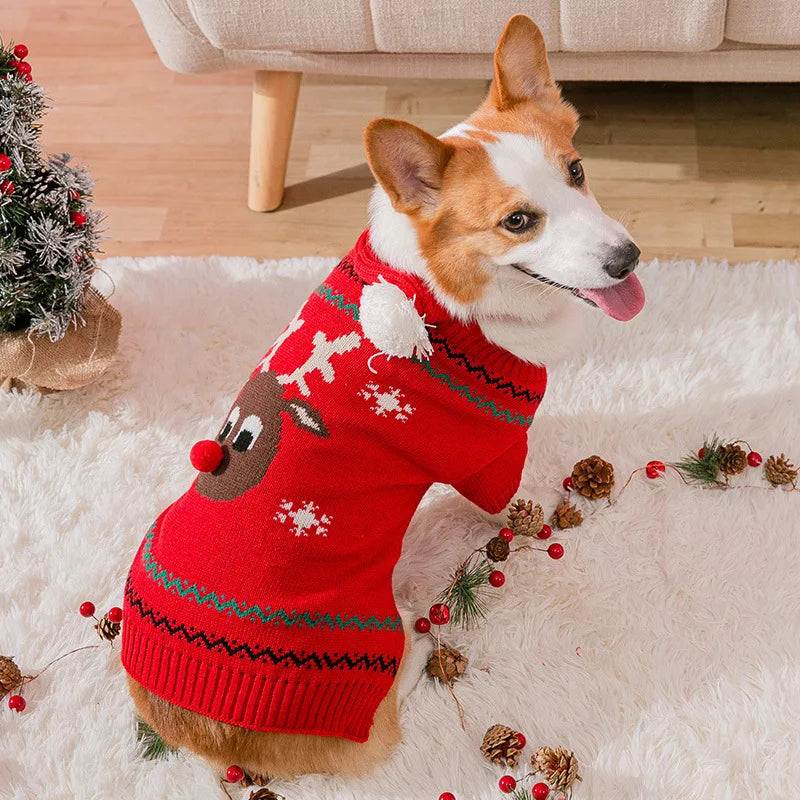 Dog Sweater Christmas
