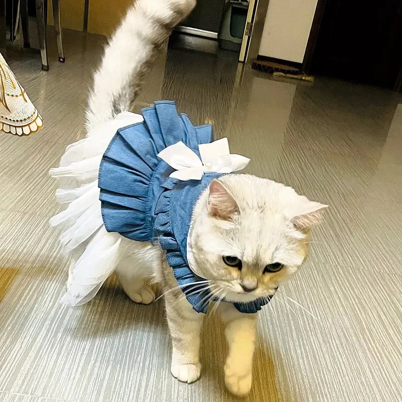 Denim Sphynx Cat Princess Dress