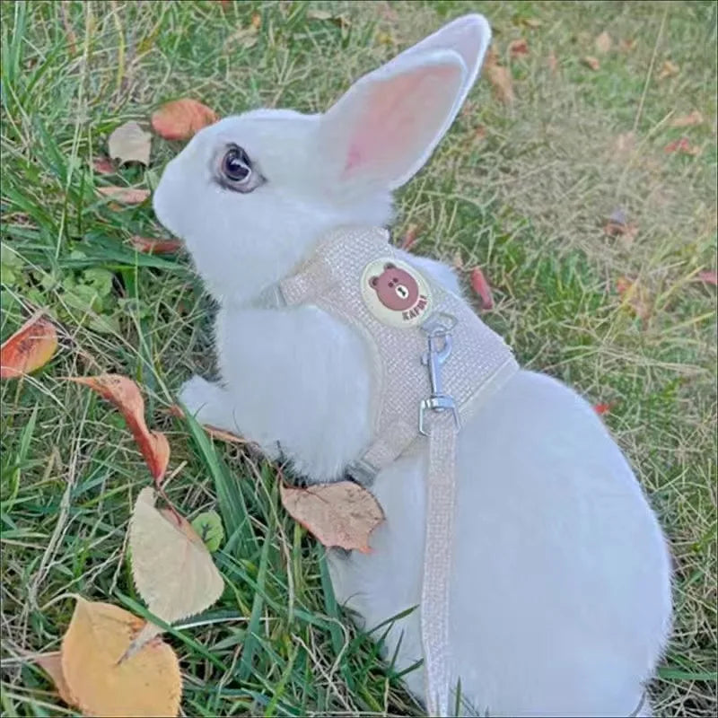 Newest Cute Rabbit Harness and Leash Set