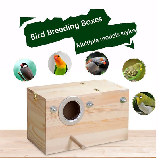 Bird&