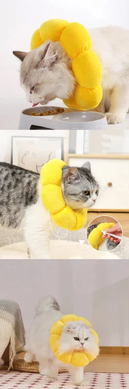 Pet collar adjustable size