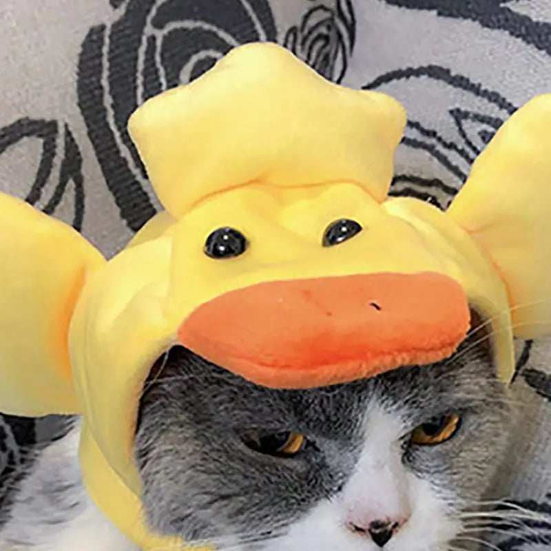 Halloween Funny Pet Cat Cap Costume