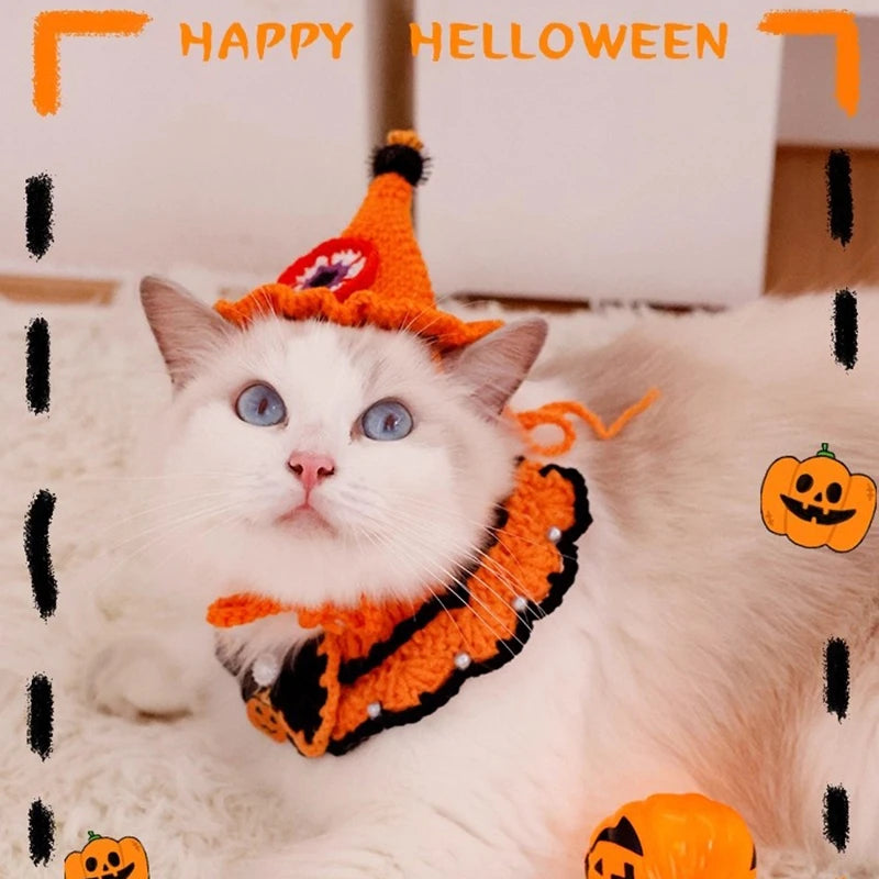 Halloween Cat Costume