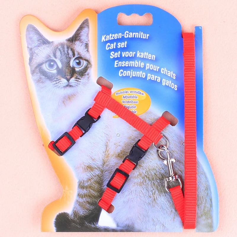 Cat and dog leash I-shaped