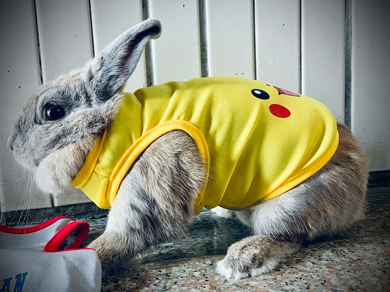 Pet Vest for Rabbit Cats