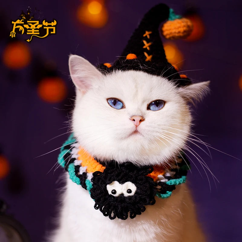 Halloween Cat Costume