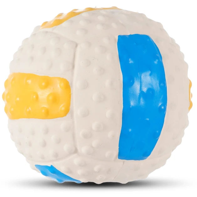Squeaky Dog Toys