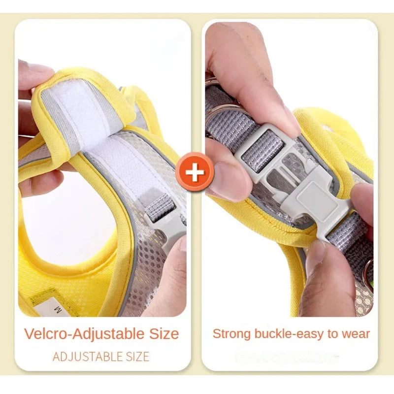 Cat Dog Harness Vest Chest Rope Set