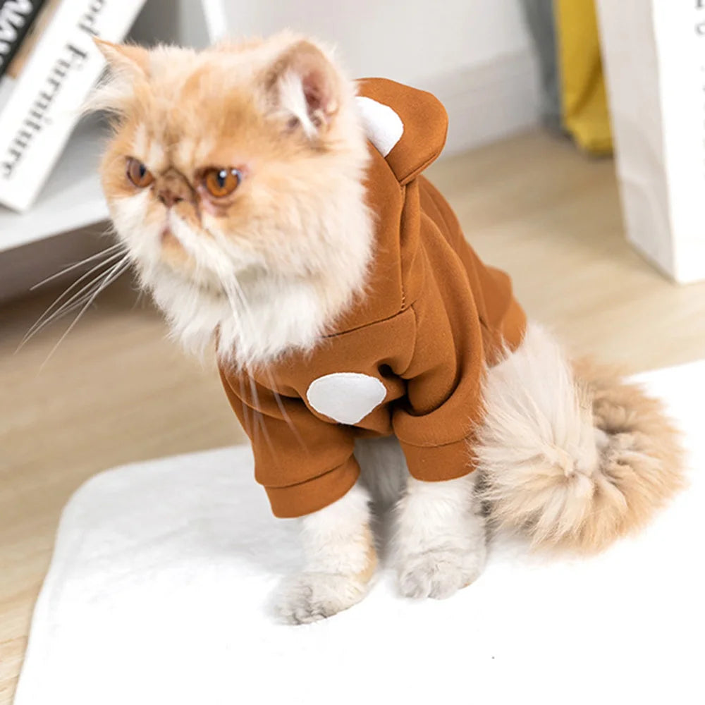 Cute Hairless Cat Clothes